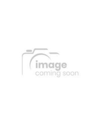 Picture of Ramdev Hot Lemon Pickle 283 Grams