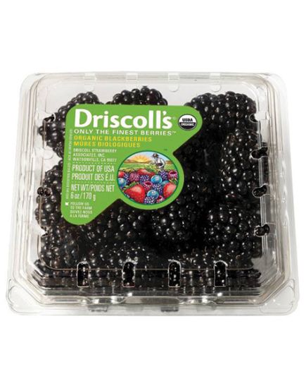 Picture of Driscoll/'s Fresh Blackberries 6 Oz