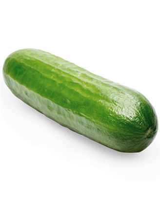 Picture of European Cucumber 1 Pc
