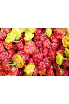 Picture of Seasoning Pepper 1 Lbs