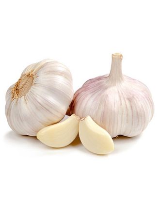 Picture of Fresh Garlic Loose 1 Lbs