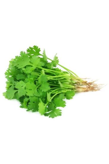Picture of Cilantro 1 Pc