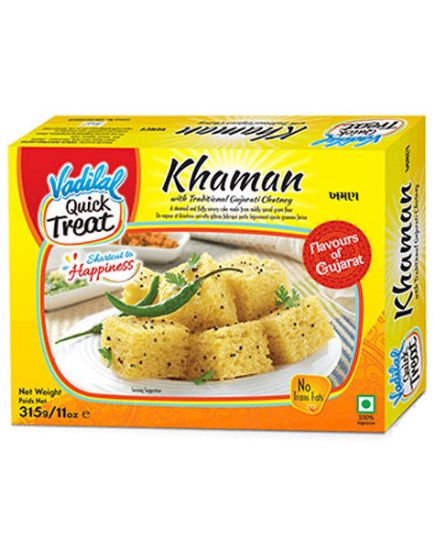 Picture of Vadilal Nylon Khaman 350 Grams