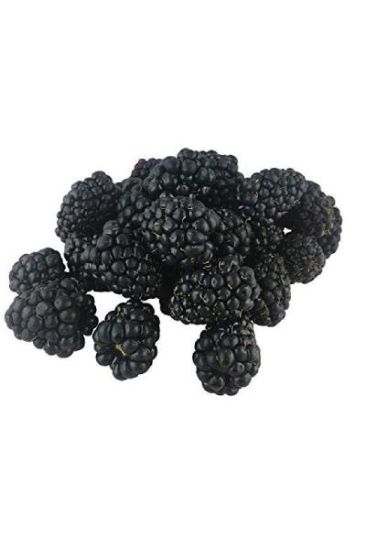 Picture of Sunbelle Blackberries 6 Oz