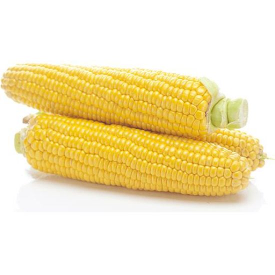 Picture of Sweet Yellow Corn 1 Pc