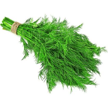 Picture of Herb Dill 1 Lb