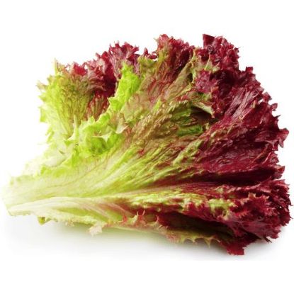 Picture of Red Leaf Lettuce 1 Pc