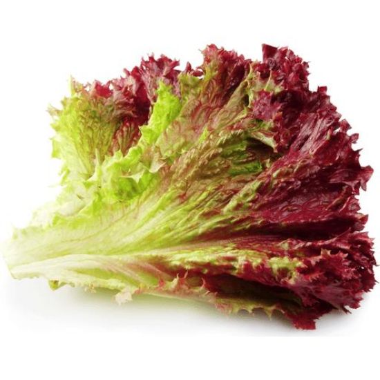 Picture of Red Leaf Lettuce 1 Pc