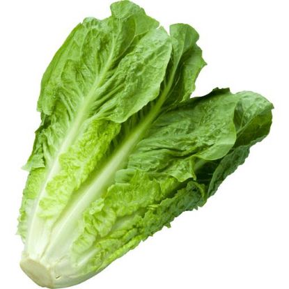 Picture of Amaral Ranches Lettuce 3 Pk
