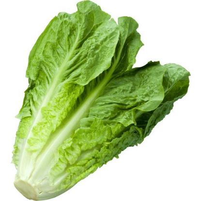 Picture of Romaine baby green Lettuce 1 Pc
