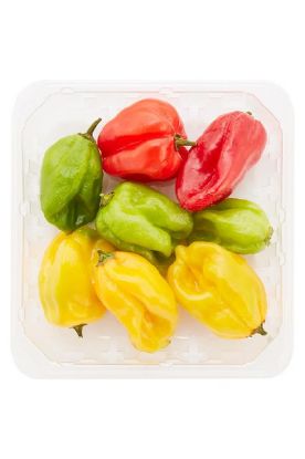 Picture of Scotch Bonnet Local Hot Peppers