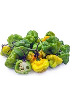 Picture of Scotch Bonnet Peppers 8 Lb