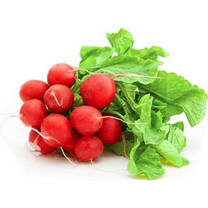 Picture of Radish Red Cello 1 Lb