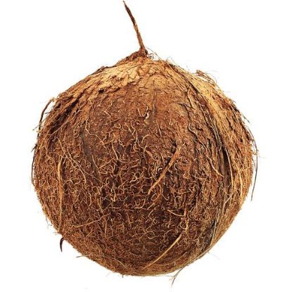 Picture of Fresh Fruits Coconuts