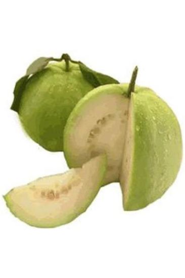 Picture of Guava Pink Local Grower 1 Pc