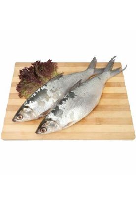 Picture of Meat-seafood & Chicken Milk Fish 1 Lbs