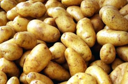 Picture of Potato Baking 1 Lb