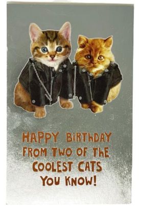 Picture of American Greetings Humorous 1 Pc