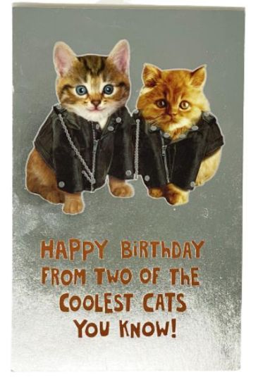 Picture of American Greetings Humorous 1 Pc