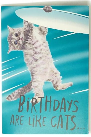Picture of American Greetings Humorous Birthday Cards 1 Pc