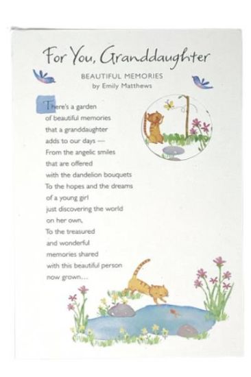 Picture of American Greetings Feminine Birthdaycar 1 Pc