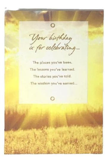 Picture of American Greetings Conventional Birthday 1 Pc