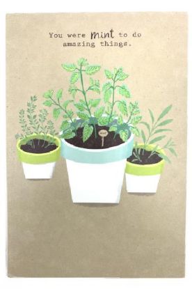 Picture of American Greetings Congrats Card 1 Pc