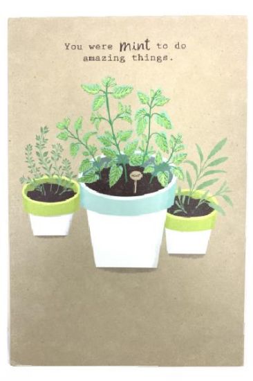 Picture of American Greetings Congrats Card 1 Pc