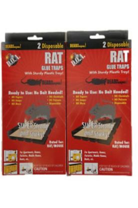 Picture of An American Company Rat Glue Traps 2 Pcs