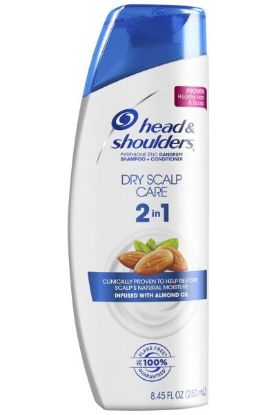 Picture of Head & Shoulders Dry Scalp 2 In 1 Care 13.5 Oz