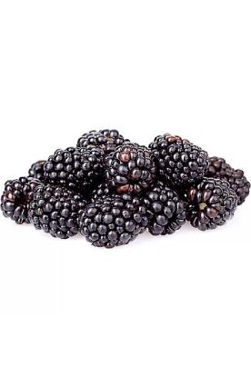 Picture of Crystal Valley Blueberries 6 Oz
