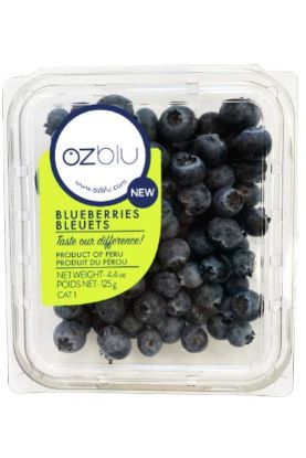 Picture of Ozblu Blueberries Bleuets 1 Pc