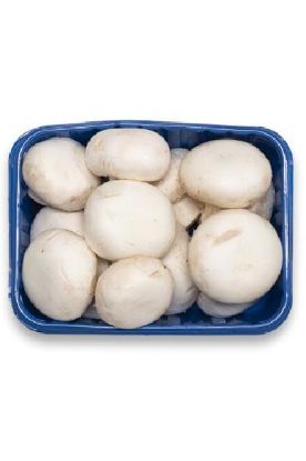 Picture of Palumbo Foods Whole White Mushroom 16 Oz