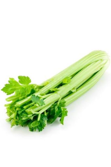 Picture of Celery Sleeved 1 Pc
