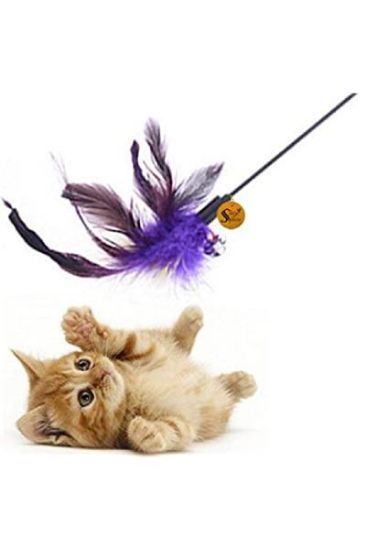 Picture of Feather Teaser Cat Toy 1 Pc