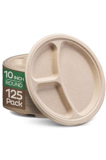 Picture of Table Accents Compostable Paper Plates 10 Inch