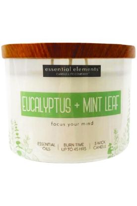 Picture of Candle Lite Eucalptus Mint Leaf Candle 14.75 Oz