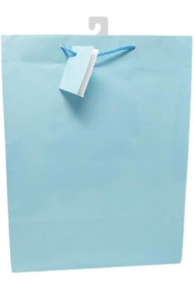 Picture of Unique Large Solid Pastel Gift Bag 1 Ct