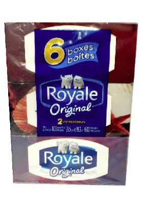 Picture of Original Facial Tissue 2 Ply 100 Ct