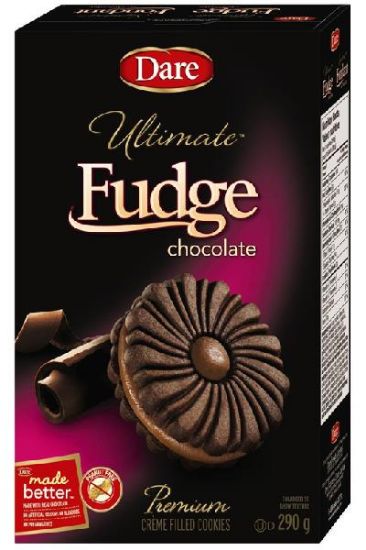 Picture of Dare Fudge Chocolate 290 Grams