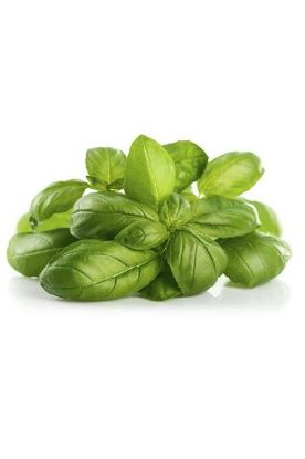 Picture of Basil 1 Pk