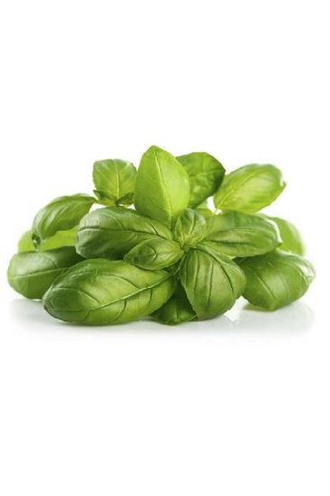 Picture of Basil 1 Pk