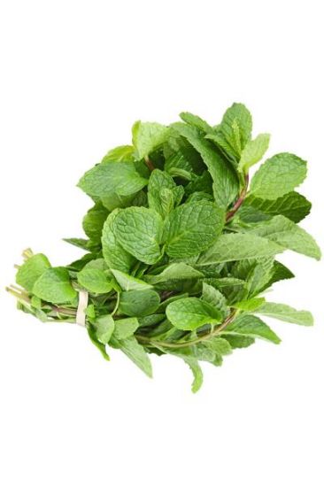 Picture of Herb Mint 1 Lb