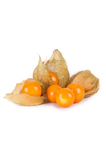 Picture of Cape Gooseberry 1 Pk