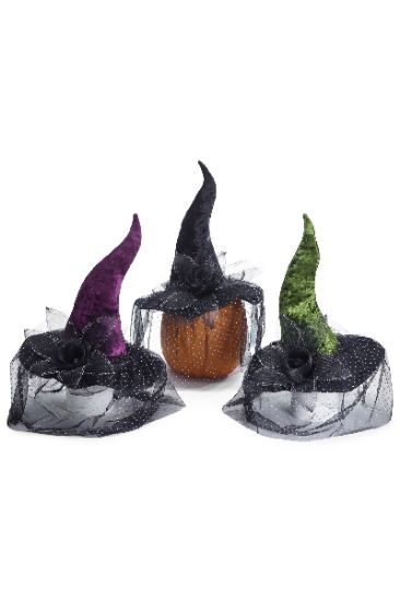 Picture of Assorted Witch Hat 1 Ct