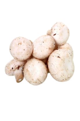 Picture of Loose Brown Mushrooms 1 Lb