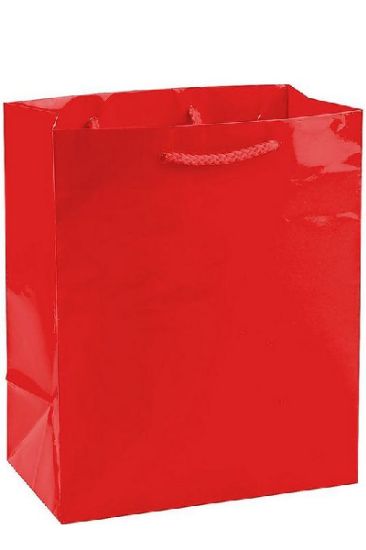 Picture of Medium Gift Bags 1 Ct