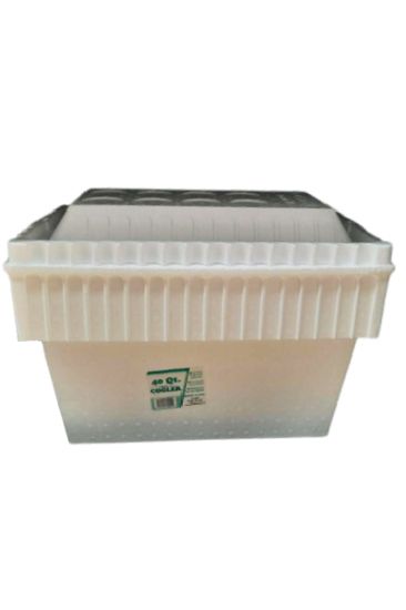 Picture of Foam Cooler 40 Qt