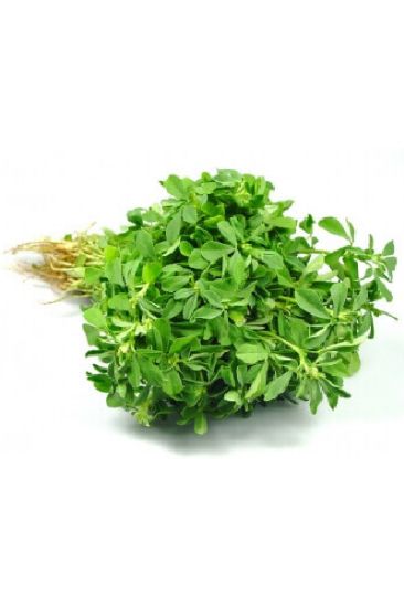 Picture of Methi Leaves 1 Ct