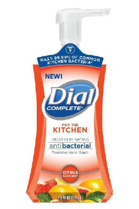 Picture of Dial Complt Foam Kitchn Citrus 7.5 Oz